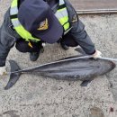 남해-131 이미지