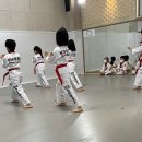 경희대 향남태권도 이미지