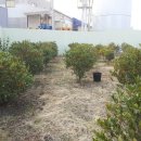 일요농장 이미지