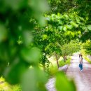 금소생태공원1 이미지