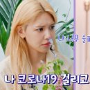 써니투어 이미지