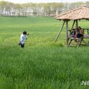 고창국수 이미지