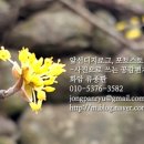 금정산터널(창원) 이미지