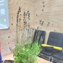 신태인청소년문화의집 이미지