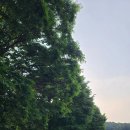 서후초등학교대흥분교장 이미지