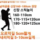 로 프