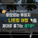 나비투어