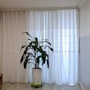 봉명 청솔A(0949) | [천안 아산 커튼 블라인드] 쌍용동 월봉 청솔 2차 아파트 거실, 안방 커튼 재구매 고객님 댁 설치 후기