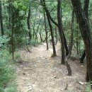 대전둘레산길(9구간) 이미지