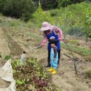 쑥쑥 책과함께자라요 이미지