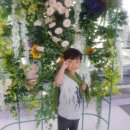 효원유치원 이미지