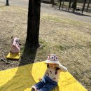 키티어린이집 | 자라 키즈 키티 크로셰 니트 &amp; 버킷햇 후기｜청바지 핏·사이즈·코디 총정리