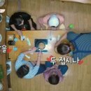 종점가든 이미지