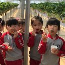 화동초교병설유치원 이미지