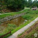 박달재자연휴양림 이미지