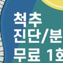 더올바로척추체형운동센터 이미지