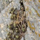 부안고등학교 이미지