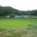 고향마을 이미지