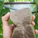 산우농장 이미지