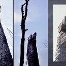 궁안마을 이미지