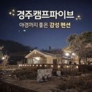 캠프파이브 | 경주캠프파이브 후기｜수영장·바베큐·야경까지 가족여행 숙소로 너무 좋은 이유