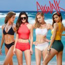 베이직 엘르 이미지