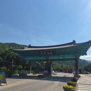 🌿 2026 무릉별유천지 라벤더 축제 | 6/13 토요일 직접 다녀온 솔직 후기