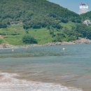 모사금해수욕장