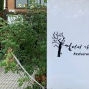 걸어서가는집