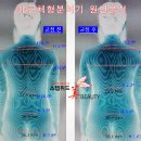 위드미뷰티 네이버블로그