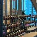 빌리브 패러그라프 피트니스 이미지