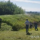 신덕8호 이미지