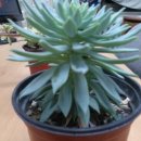 기쁨이네농장 이미지