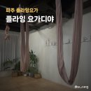 인바디 체형교정 요가 | 파주 플라잉 요가 체형교정 요가디야 솔직후기