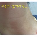 미엘약국 이미지