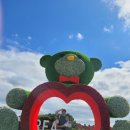 꽃지해안공원 | 바다가 보이는 태안 꽃 박람회 코리안플라워파크 (꽃지 해안공원) 🩵 가을 나들이 명소