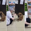 해온약국 이미지