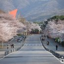 종로-종로-종로-종-140 이미지