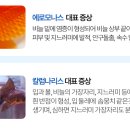 금빛희망약국 이미지