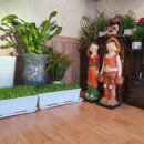 홍어와탁주 이미지