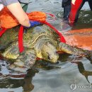 푸른바다 이미지