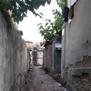 갑수농장 이미지