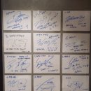 채선당 월남쌈 샤브(마곡점) 이미지