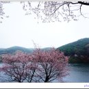 고남저수지 이미지