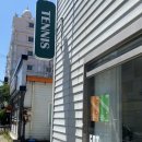 안프로테니스