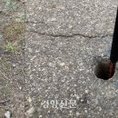 에아가이아 - 춘천시 점말1길 78-32 | 에아가이아