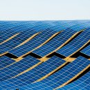 태양 행정사 사무소 이미지