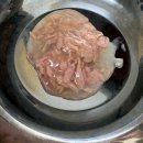 노블캣