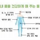 태평약국 이미지