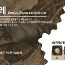 (주)홈플러스 울산동구점